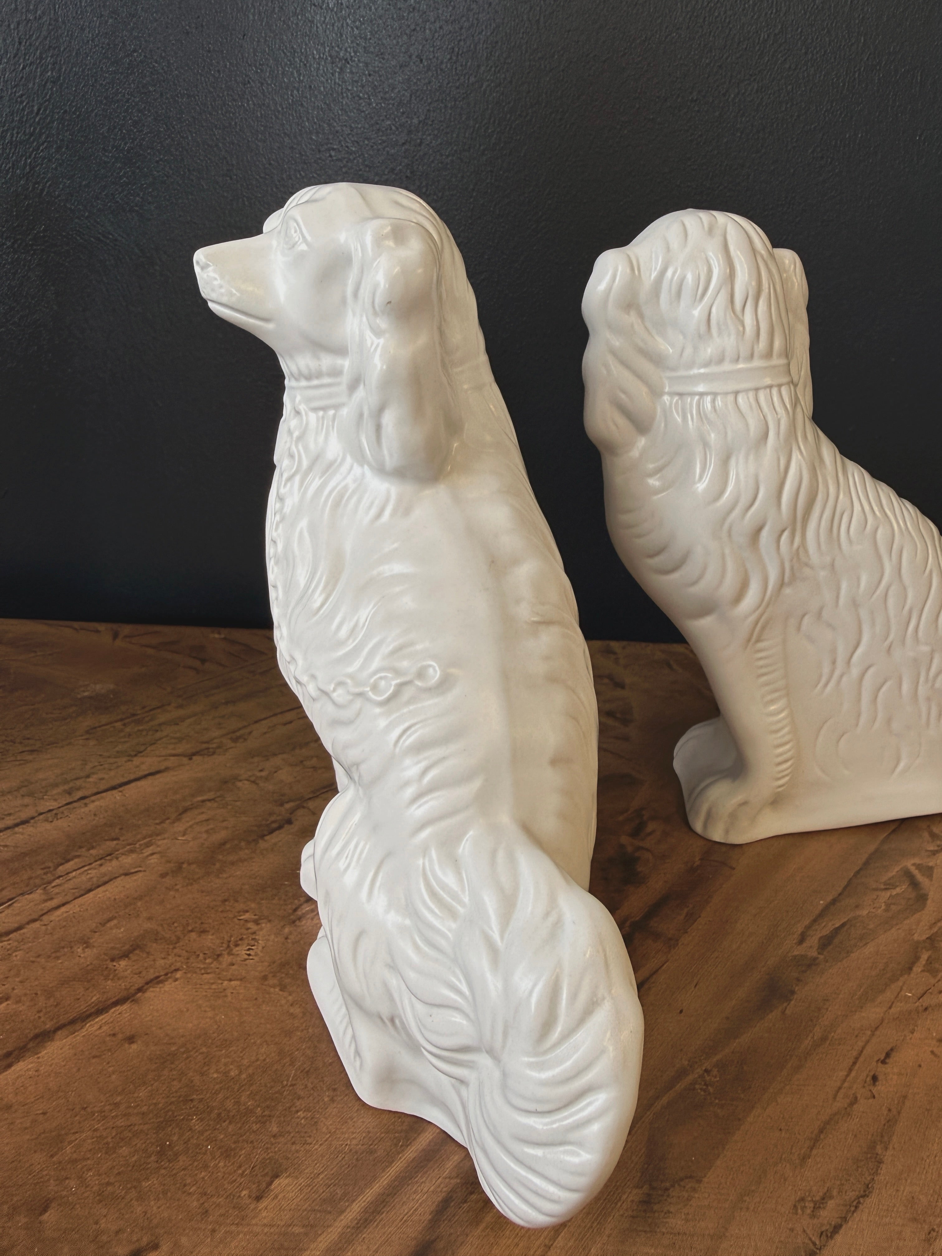 Staffordshire-spanielit eli laivakoirat