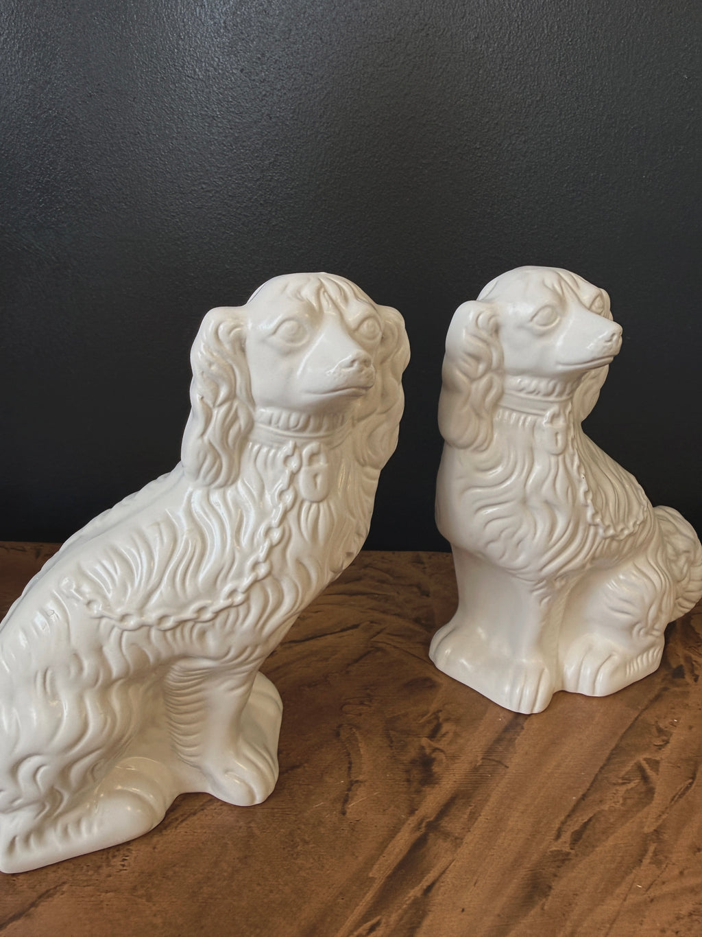 Staffordshire-spanielit eli laivakoirat