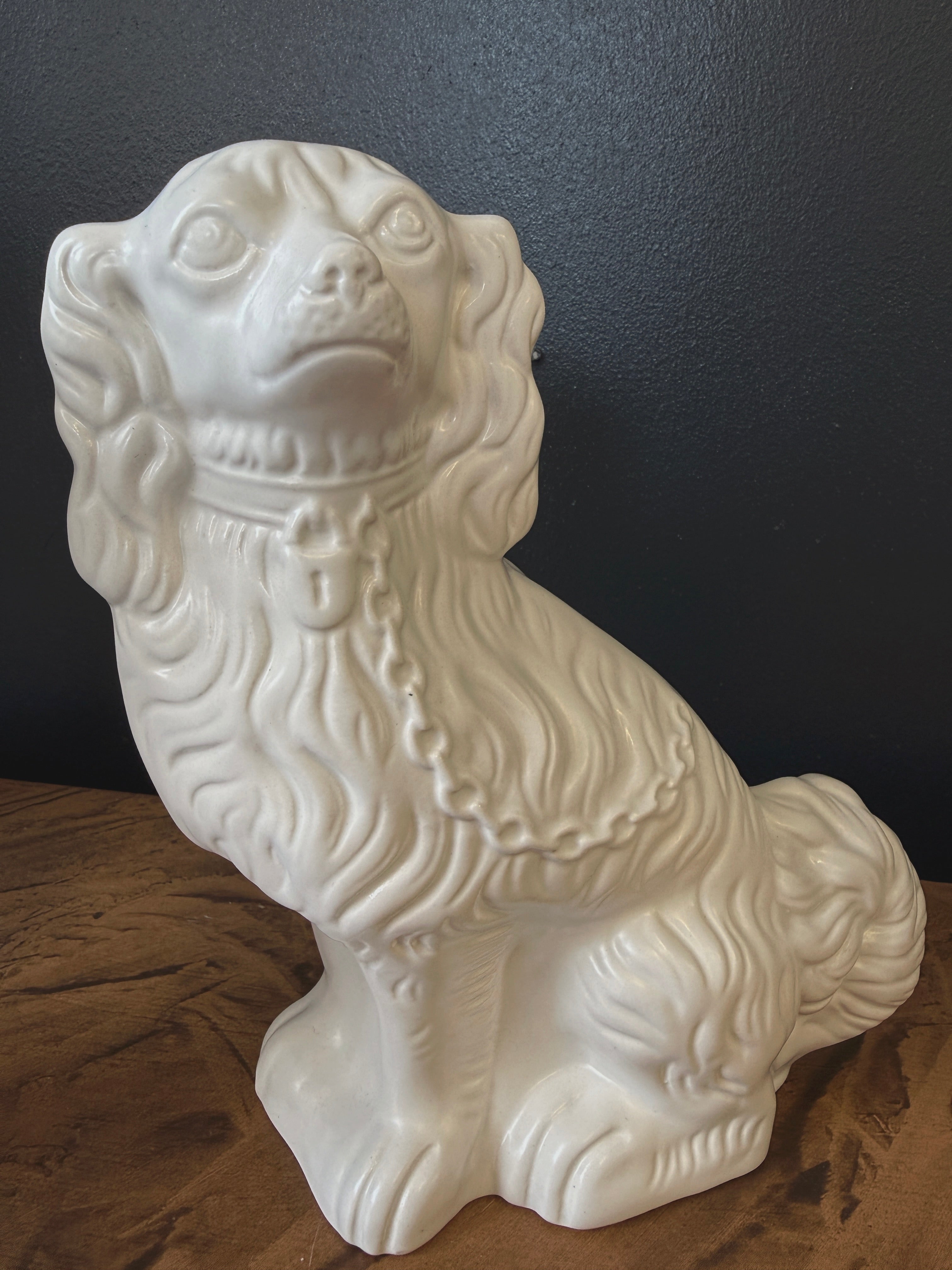 Staffordshire-spanielit eli laivakoirat