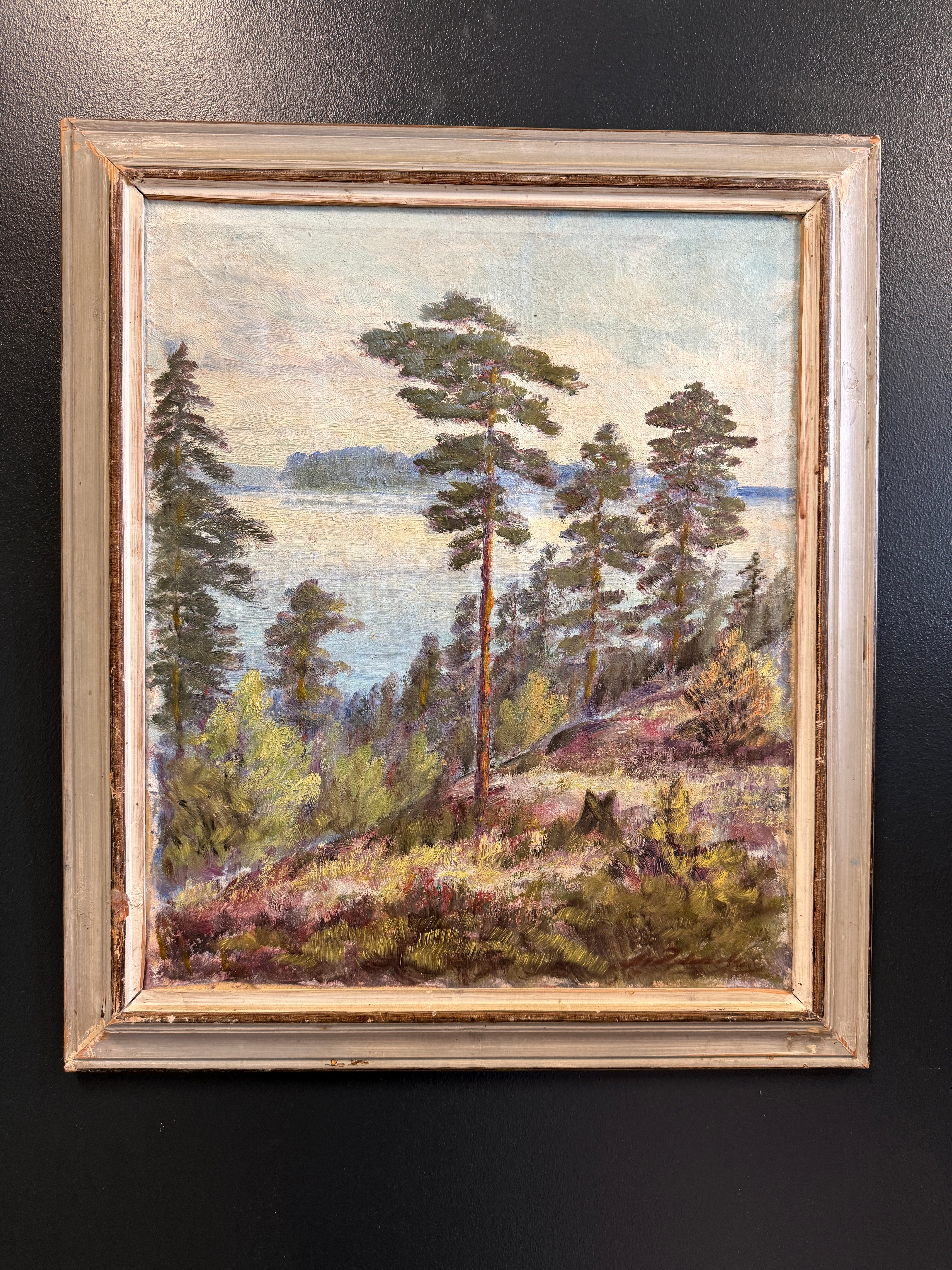 Öljyvärimaalaus – järvimaisema