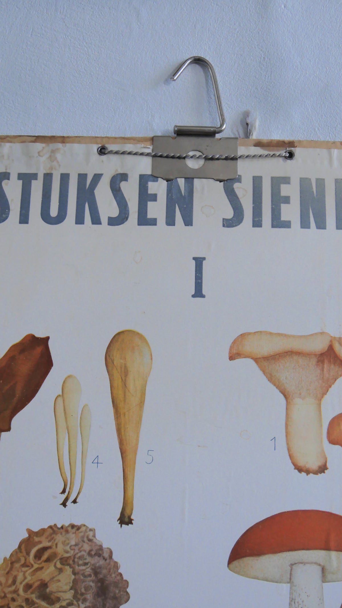 Opetustaulut Valistuksen sienikartta I & II