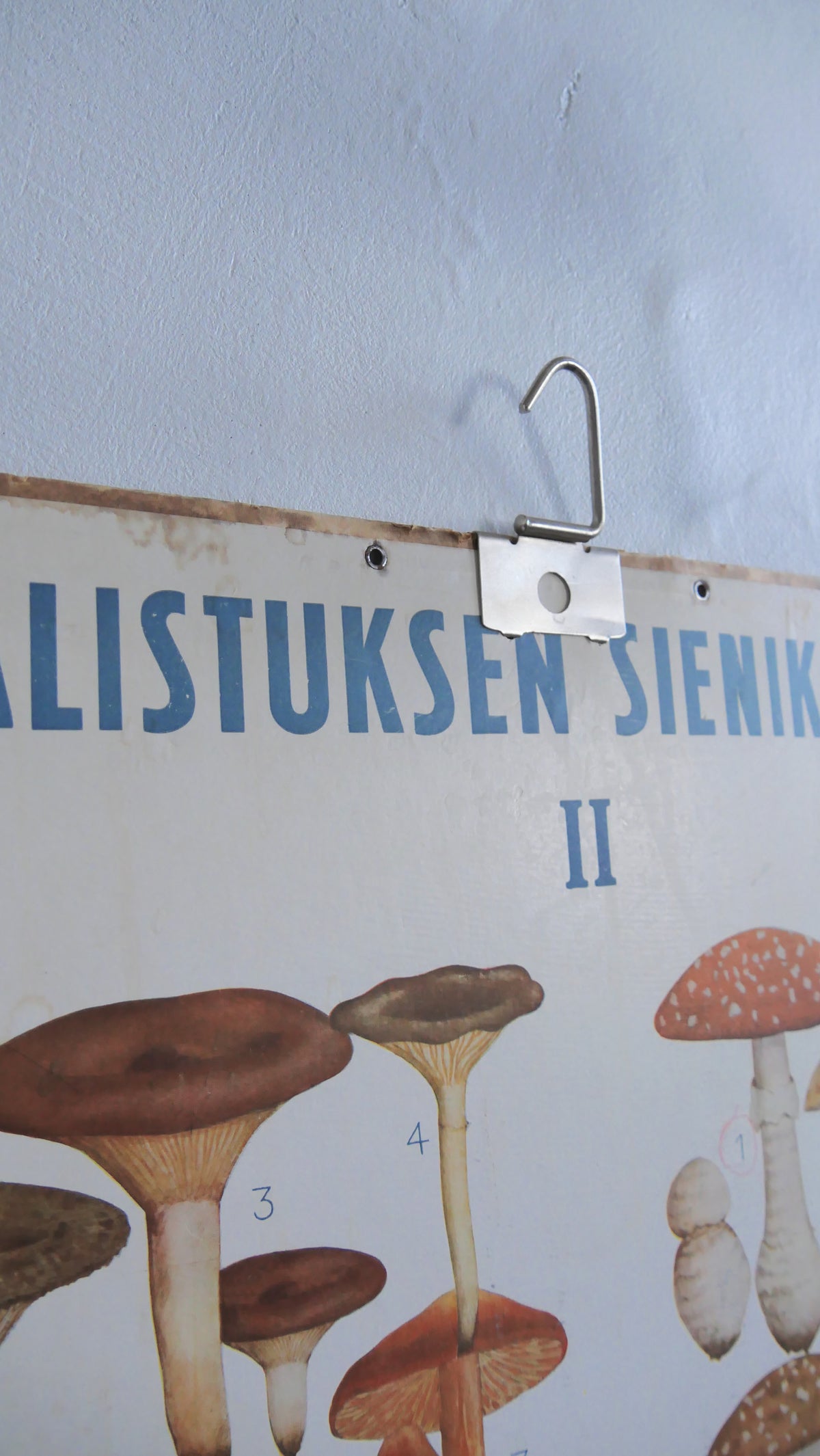 Opetustaulut Valistuksen sienikartta I & II